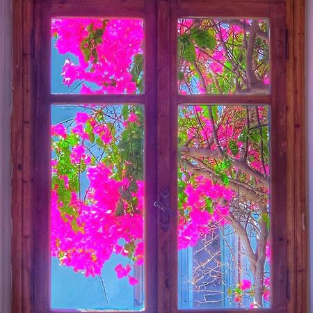 Mare Naxia Hotel Naxos City 外观 照片